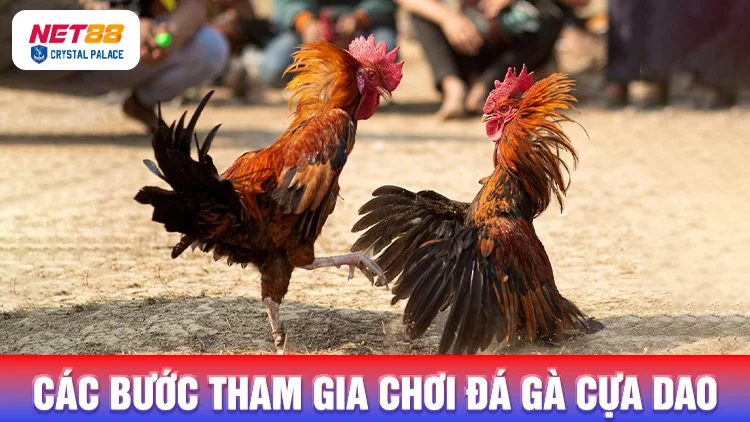 Làm theo các bước sau để vào chơi đá gà cựa dao