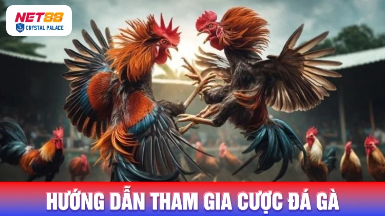 Một số hình thức đặt cược đá gà cực hấp dẫn