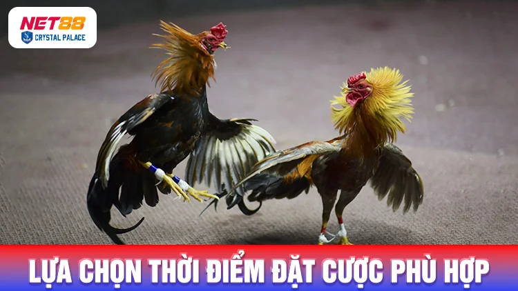 Lựa chọn thời điểm để xuống tiền đặt cược thích hợp