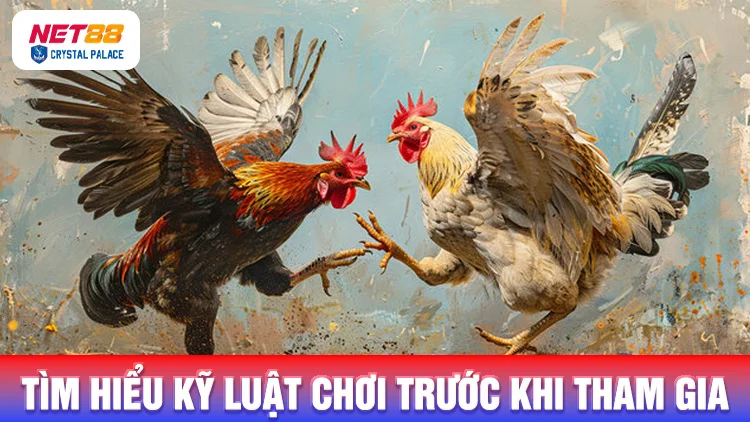 Cần tìm hiểu kỹ lưỡng luật chơi trước khi tham gia