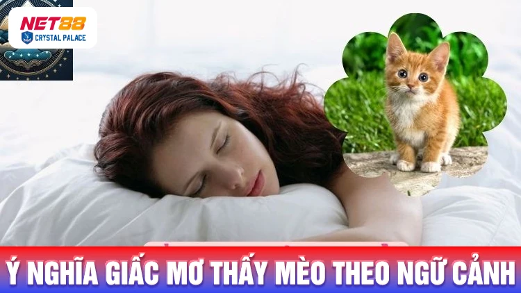 Ý nghĩa giấc mơ thấy mèo theo từng ngữ cảnh